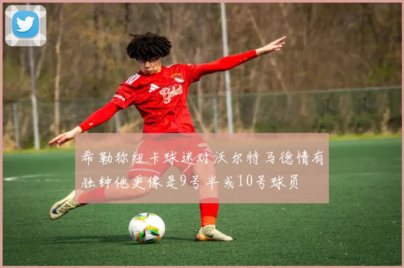 希勒称纽卡球迷对沃尔特马德情有独钟他更像是9号半或10号球员