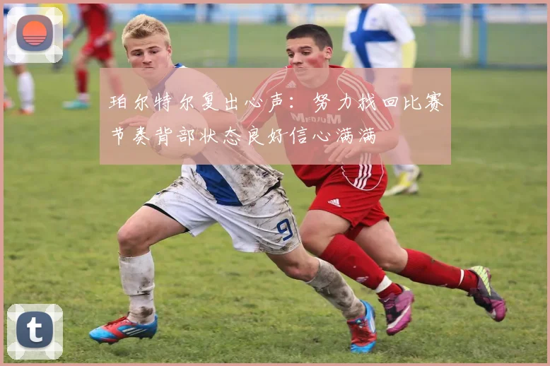 珀尔特尔复出心声：努力找回比赛节奏背部状态良好信心满满