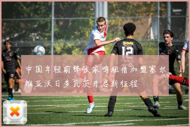 中国年轻前锋张家鸣租借加盟塞尔维亚沃日多瓦茨开启新征程