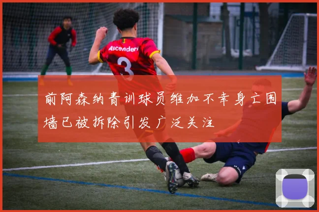 前阿森纳青训球员维加不幸身亡围墙已被拆除引发广泛关注